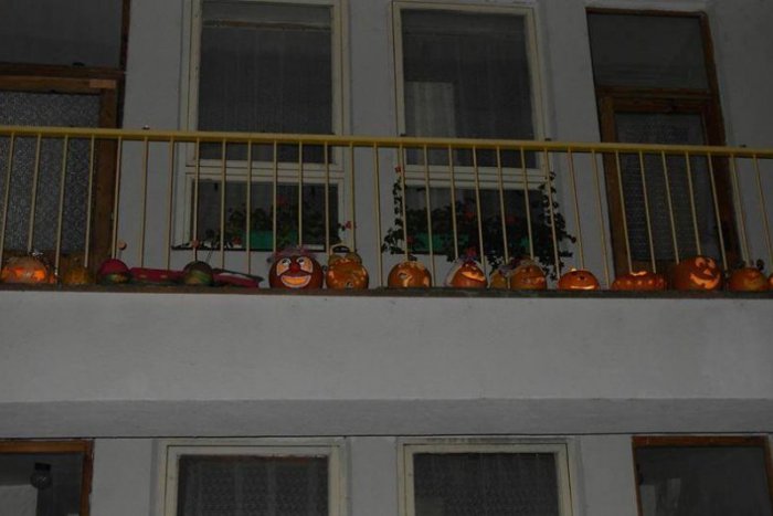 Ilustračný obrázok k článku Obyvateľov Sekiera púta nádherný pohľad: Toľkoto tekvíc pokope sa len tak nevidí!