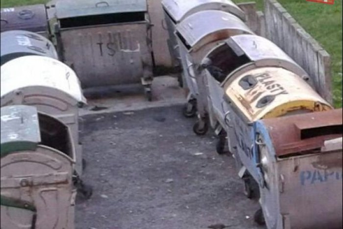 Ilustračný obrázok k článku Videli ste potkanov? Nahláste ich mestu!