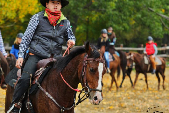 Ilustračný obrázok k článku Hubertova jazda v Nitre: Jazdci a ich kone slávnostne ukončili sezónu