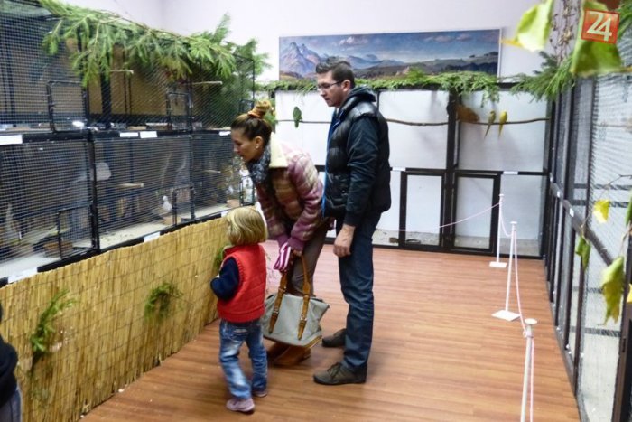 Ilustračný obrázok k článku Exotické vtáky cez víkend zaplnili priestory múzea. Výstava potešila najmä deti