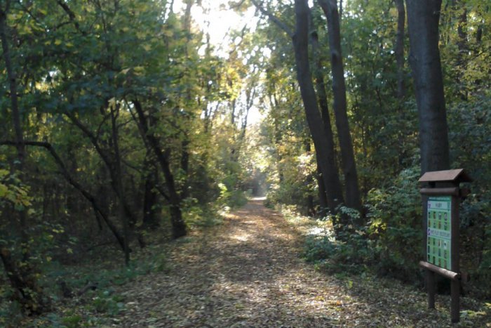 Ilustračný obrázok k článku Diviaci v novozámockom Berku !