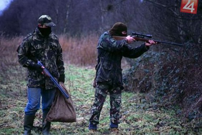 Ilustračný obrázok k článku Policajti pátrajú po pytliakovi: Jeleňa usmrtil neznámym predmetom!