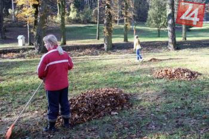 Ilustračný obrázok k článku Mesto už začalo s hrabaním lístia: Ako prvé sa vyčistili parky, nasledujú obytné zóny