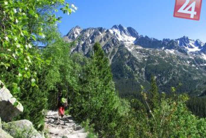 Ilustračný obrázok k článku Kalamitné drevo sa stále spracováva: Vieme, ktoré chodníky sú ešte nepriechodné