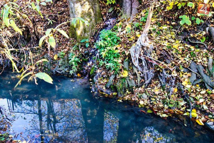 Ilustračný obrázok k článku Katastrofálny stav potoka v Rudlovej: Ľuďom sa na pozemky vylieva aj so splaškami!