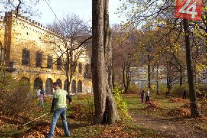 Ilustračný obrázok k článku Park pri Kaštieli Radvanských získal nový look: Čistili ho aj študenti z USA a Mexika