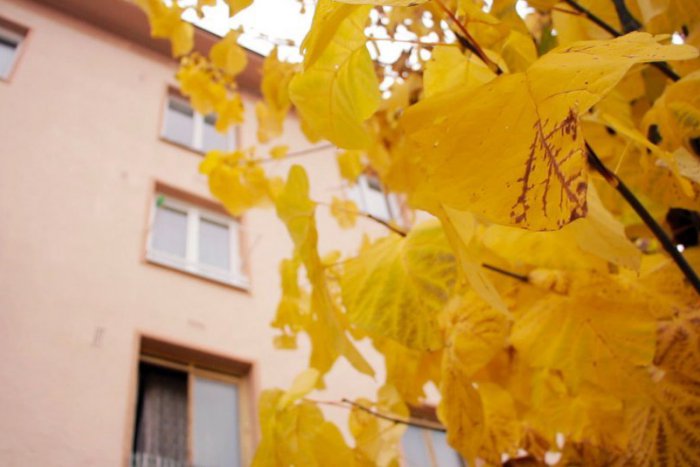 Ilustračný obrázok k článku AKČNÁ PONUKA: Byt v centre Žiaru za super cenu!