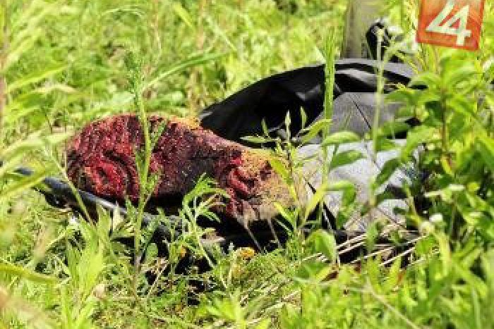 Ilustračný obrázok k článku Prípad, na ktorý nezabudnú: Zvolenskí mestskí policajti odhalili páchateľa ohavnej vraždy!