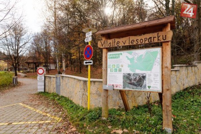Ilustračný obrázok k článku Žilinský lesopark sa opäť rozžiaril: Pozrite sa, aké zmeny sa v ňom udiali
