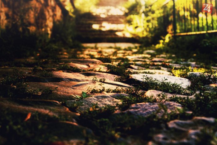 Ilustračný obrázok k článku FOTO: Jeseň v našom meste objektívom mladého Bystričana. Táto hra farieb učaruje aj vám!