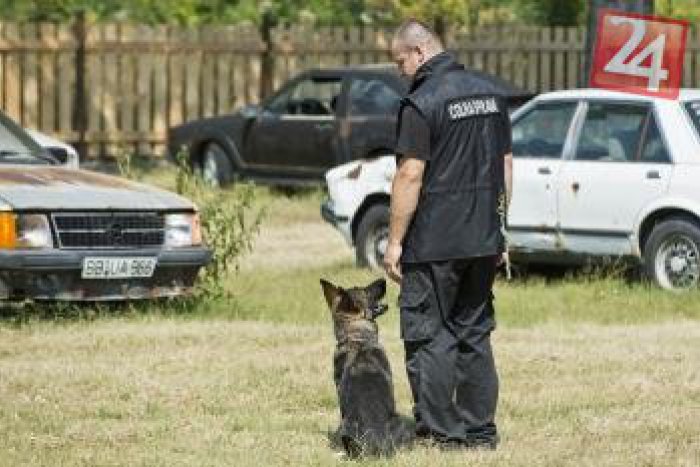 Ilustračný obrázok k článku Policajná razia peugeotu na ceste: Zoltánovi (28) v aute našli drogy až na 175 dávok!