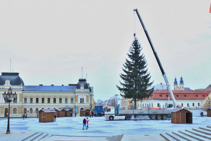 Ilustračný obrázok k článku Prípravy na sviatky začali: V Nitre postavili vianočný stromček