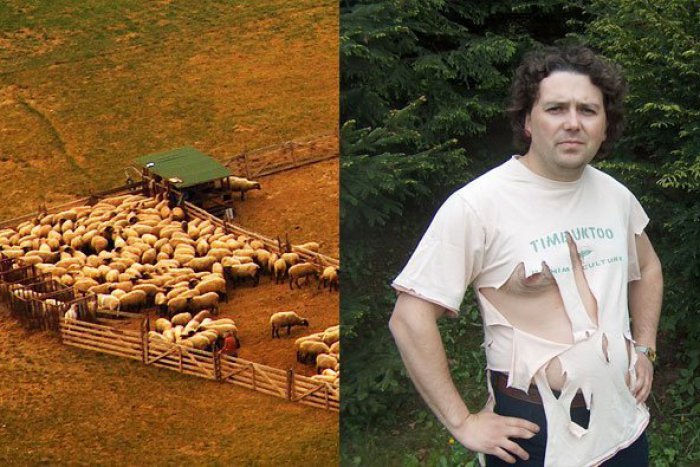 Ilustračný obrázok k článku Život v meste zaznamenaný vtipným objektívom: Pozrite si úsmevné momentky z Prešova :)