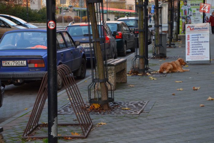 Ilustračný obrázok k článku Zbehol si po cigarety na bicykli: Naspäť musel ísť pešo