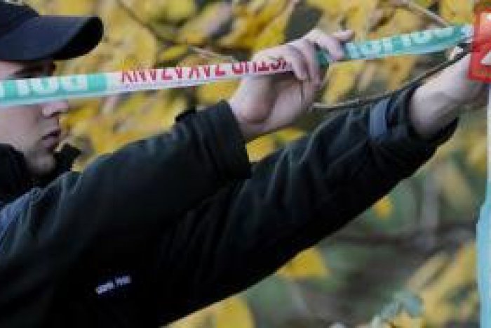 Ilustračný obrázok k článku Pozoruhodný úlovok policajtov: V Bystrici objavili ukradnutý obraz Salvadora Dalího!