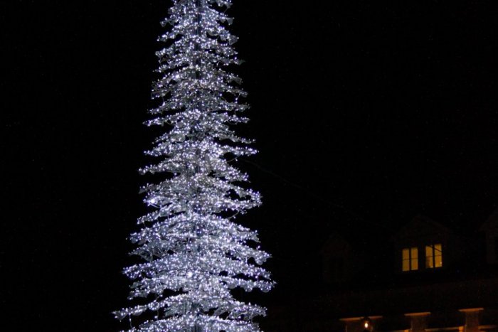 Ilustračný obrázok k článku Tradičný symbol Vianoc: Stromček si zdobíme už viac ako 400 rokov