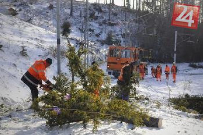 Ilustračný obrázok k článku Silné vetrisko úraduje: Na cestu sa zrútili stromy, narazili do nich autá!