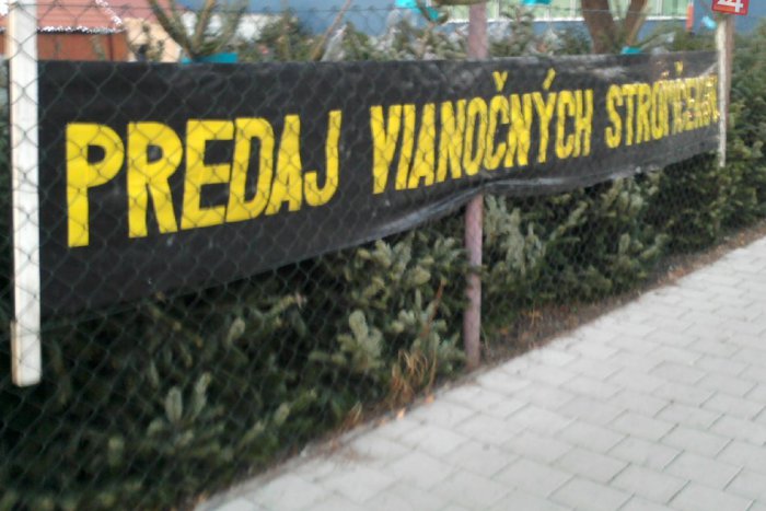 Ilustračný obrázok k článku Lesníci začali s predajom vianočných stromčekov: Kúpiť sa dajú aj v Topoľčiankach