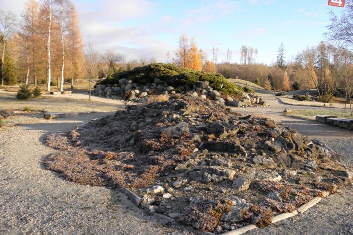 Ilustračný obrázok k článku Botanická záhrada čaká na poriadnu bielu perinu: Sneh chýba stromom, kríkom aj kvetom