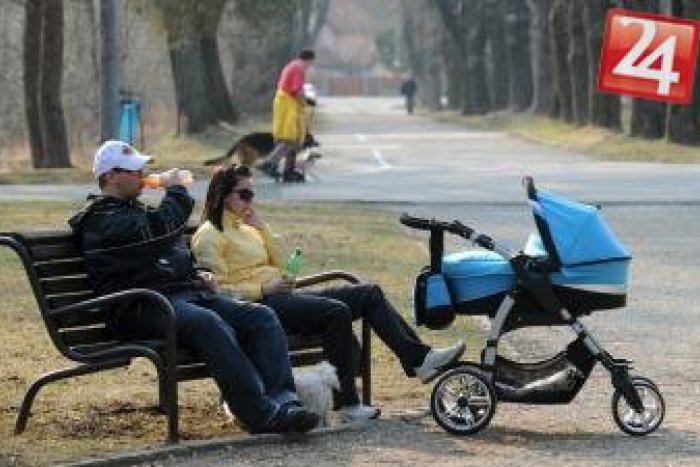 Ilustračný obrázok k článku Nitrianski policajti riešili kuriózny prípad: Muž s kočíkom vrazil do stromu, dvakrát ho aj prevrátil!