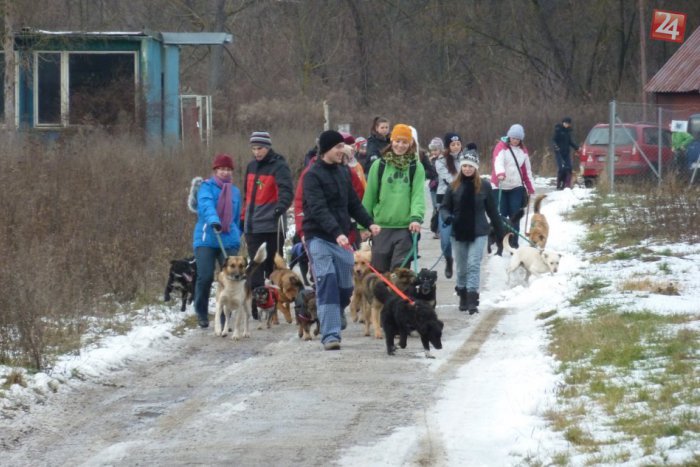Ilustračný obrázok k článku Štedrý deň strávili útulkáči prechádzkou po meste