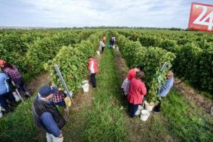 Ilustračný obrázok k článku Región Gemer - Malohont chystá novinku: Vlastná značka pre miestne produkty!