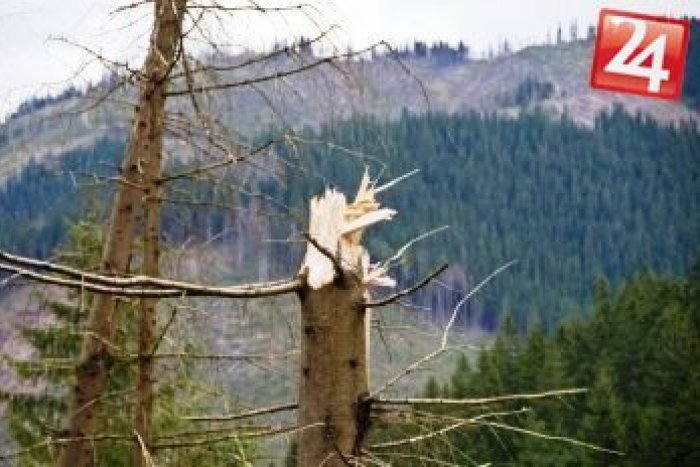 Ilustračný obrázok k článku Ak budete cez víkend v horách, dajte si pozor na silný vietor