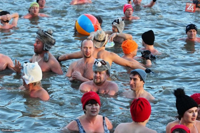 Ilustračný obrázok k článku Prekonali vlastný rekord: V Hangócke sa strelo vyše 300 ľadových medveďov