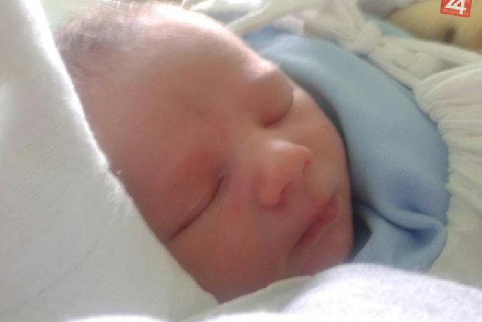 Ilustračný obrázok k článku Za každé nenarodené dieťa vysadia jeden strom. Dokopy ich bude viac ako sedem tisíc