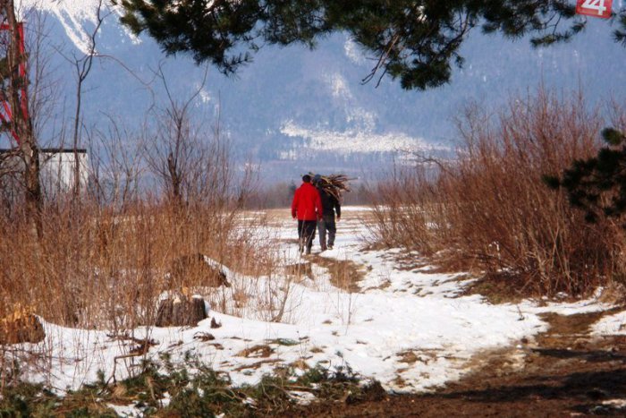 Ilustračný obrázok k článku V rómskych osadách kúria drevom za tisíce eur a... Pomaly vyrubujú Tatranský národný park!