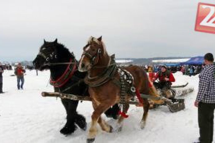 Ilustračný obrázok k článku Náš tip na víkend: V Hriňovej si to medzi sebou rozdajú furmani, toto všetko zažijete