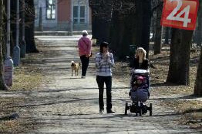 Ilustračný obrázok k článku V Mestskom parku sa ide rúbať: Odstrániť chcú 30 až 40 stromov!