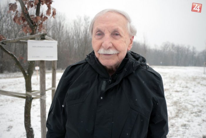 Ilustračný obrázok k článku 400-ročný dub bojuje o prestížnu cenu: Aha, ako raritný strom podporuje majster Chudík!