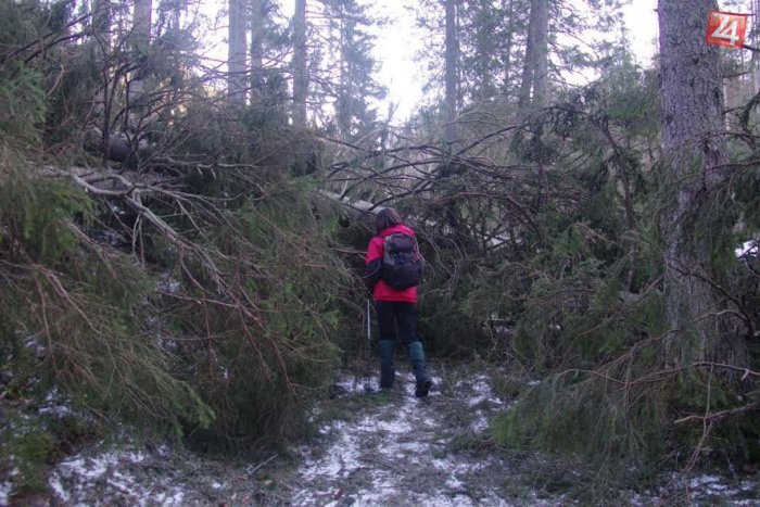 Ilustračný obrázok k článku Vizitka nedisciplinovaných turistov v Tatrách: Smeti, zakladanie ohňov, parkovanie na lesných cestách