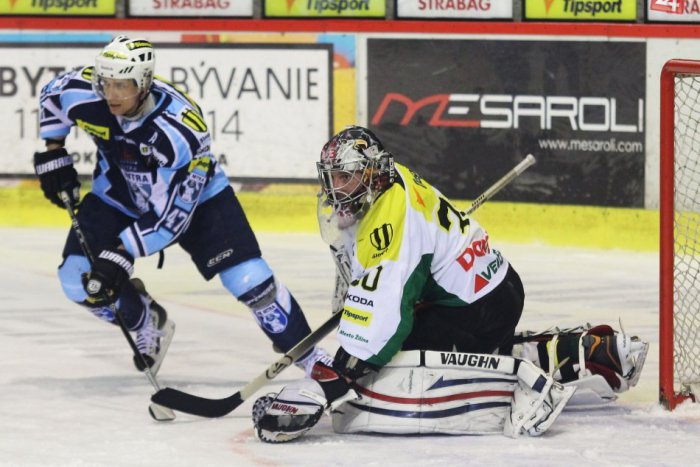 Ilustračný obrázok k článku Nitra zničila žilinských vlkov: V bránke hostí skončilo 9 pukov!