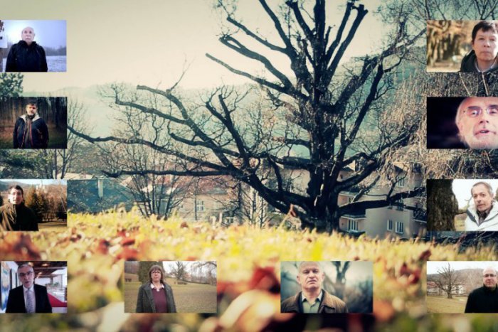 Ilustračný obrázok k článku Porazíme Čechov? 400-ročný dub boduje v európskej súťaži: Pozrite, kto ho už podporil v hlasovaní!