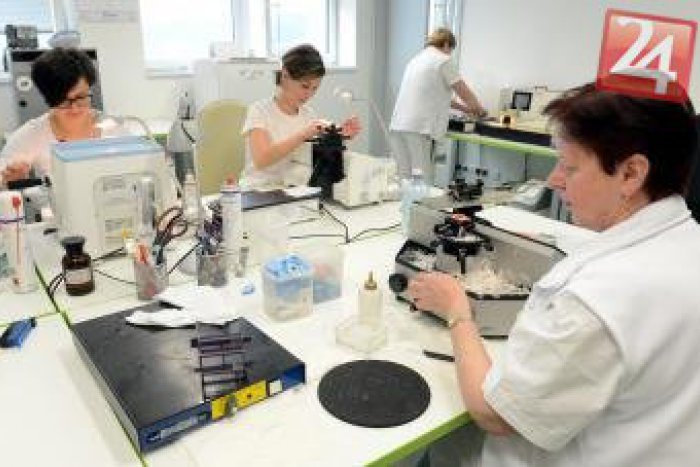 Ilustračný obrázok k článku Zaujímavý projekt SPU: Vedci skúmali takmer zabudnuté plodiny