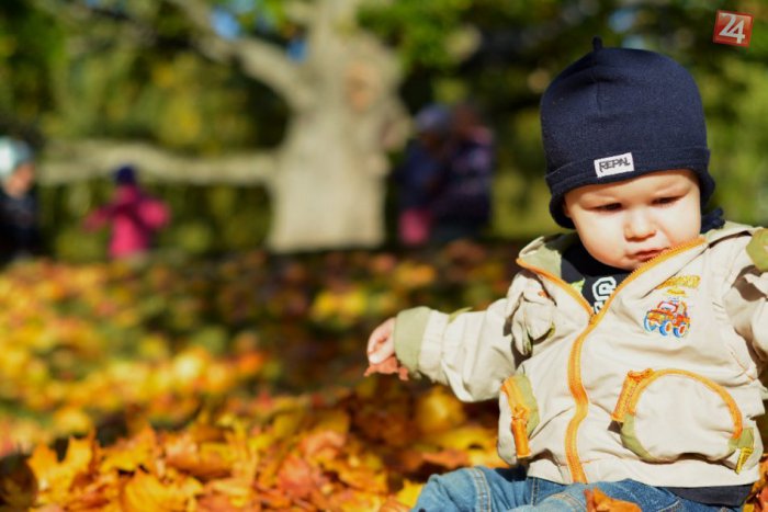 Ilustračný obrázok k článku Na veľkosti nezáleží: Dokazuje to táto európska anketa