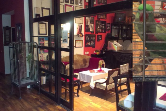 Ilustračný obrázok k článku Netradičné bystrické Bábkové divadlo na Rázcestí: Papagáj Saša v ňom ľudí víta známou otázkou