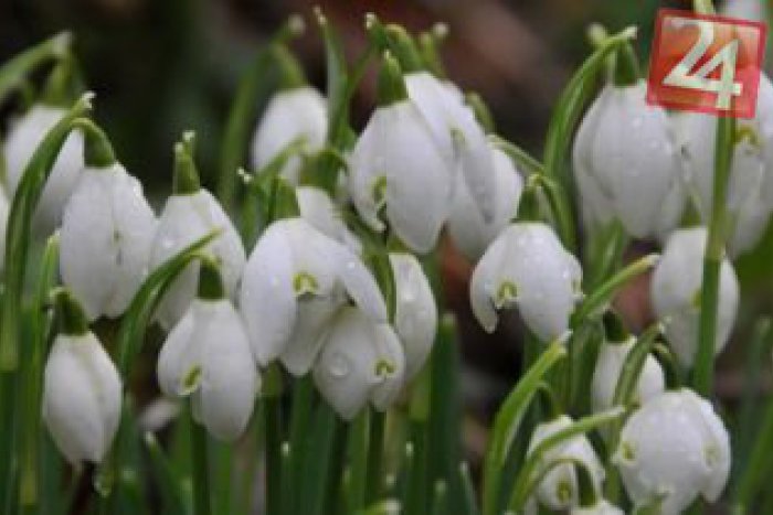 Ilustračný obrázok k článku Zimné kabáty tento rok už naozaj môžete nechať v skrini: Čakajú nás totiž nadnormálne teploty