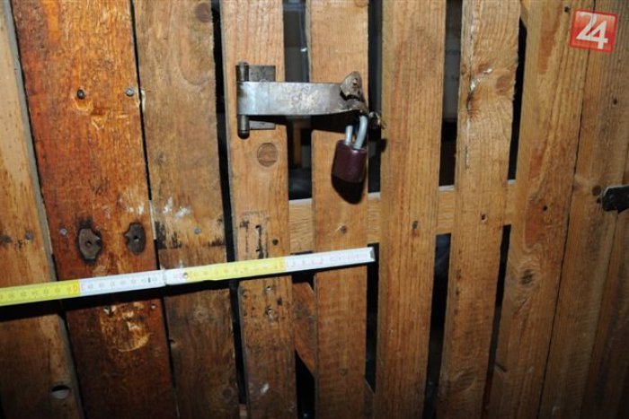 Ilustračný obrázok k článku Kobky prilákali pozornosť: Pivnice na sídlisku sa stali miestom vyčíňania zlodejov