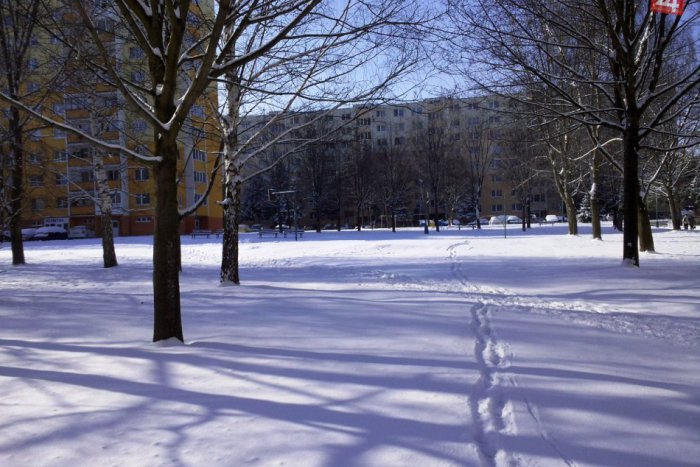 Ilustračný obrázok k článku Slovensko má za sebou neštandardnú zimu. V Poprade bolo jeden čas tak, ako zvyčajne v Hurbanove