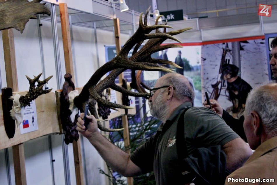 Ilustračný obrázok k článku Výstava pre priateľov prírody: Na Agrokomplexe sa stretnú rybári, poľovníci i včelári