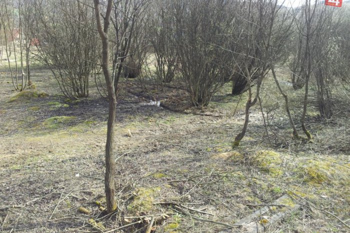 Ilustračný obrázok k článku Vzniká malá oddychová zóna: Čítajte, kde budú dažďové záhrady