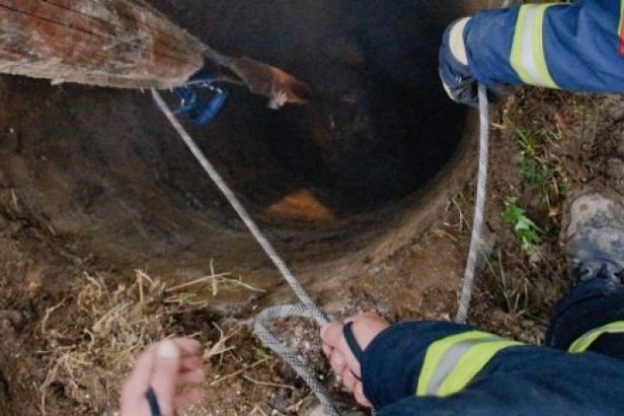 Ilustračný obrázok k článku Kuriózny prípad v Michalovciach: Mladík (19) zostal uväznený v studni!