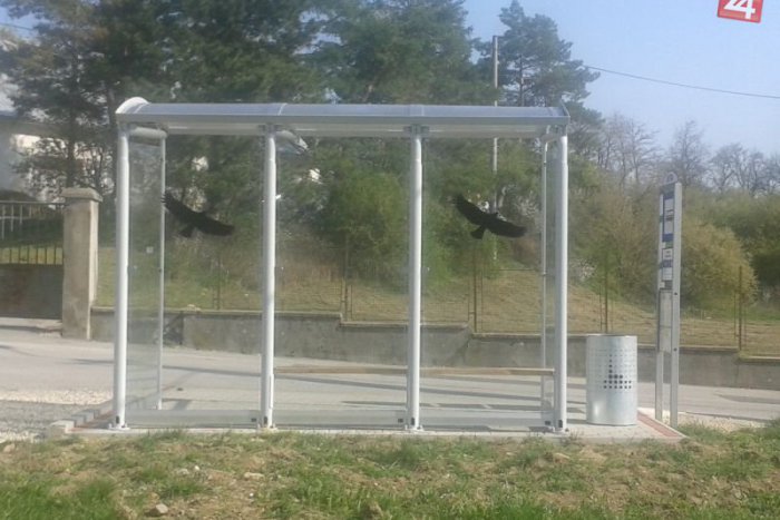 Ilustračný obrázok k článku Piati proti jednému: Chlapca (11) dobehli a potom začala dráma