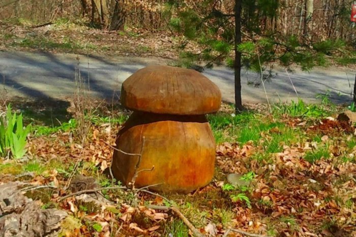 Ilustračný obrázok k článku Na bicykli po okrese: Pozrite si fotky z trasy, kde natrafíte aj na takýto obrí dubák!