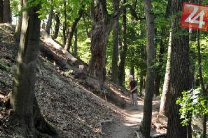 Ilustračný obrázok k článku Až 50 ľudí s Parkinsonom vystúpilo na Pustý hrad: Najmladší účastník mal len pol roka