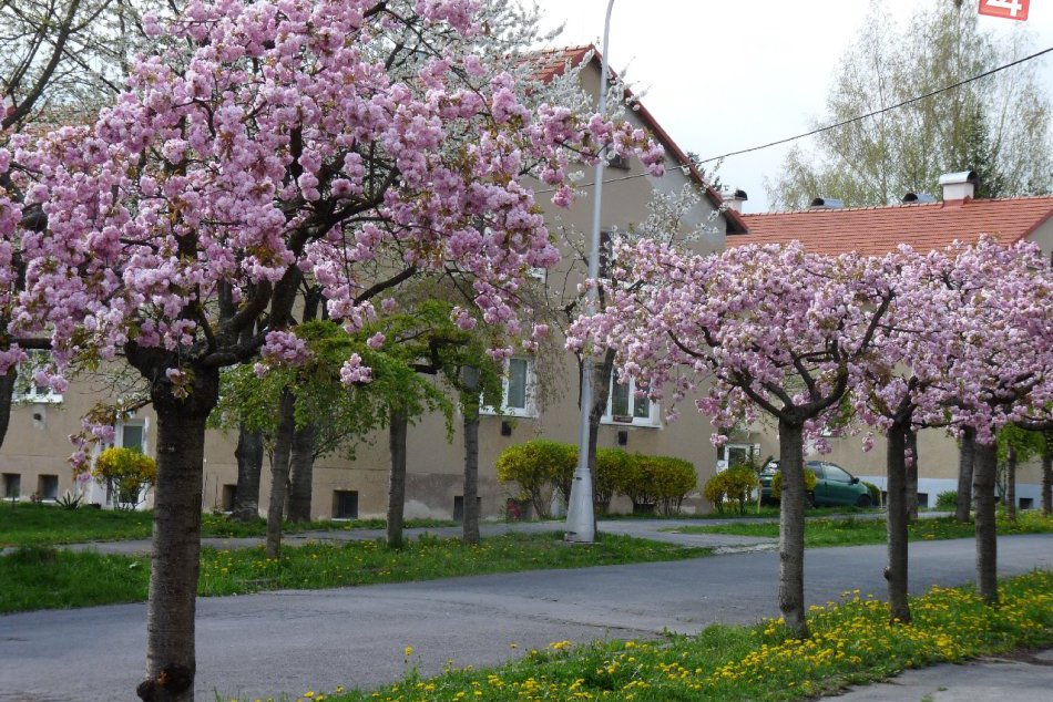 Ilustračný obrázok k článku Jarný oddych v našom okolí, ktorý vám dobije baterky: 5 miest pri Zvolene, kde si prídete na svoje