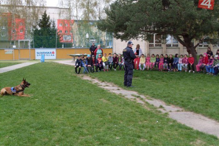 Ilustračný obrázok k článku Dobrodružná noc v škole: Nielen o víle Knihomile, hľadaní pokladu a popletenej rozprávke